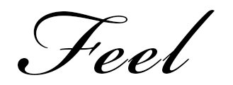 Feel